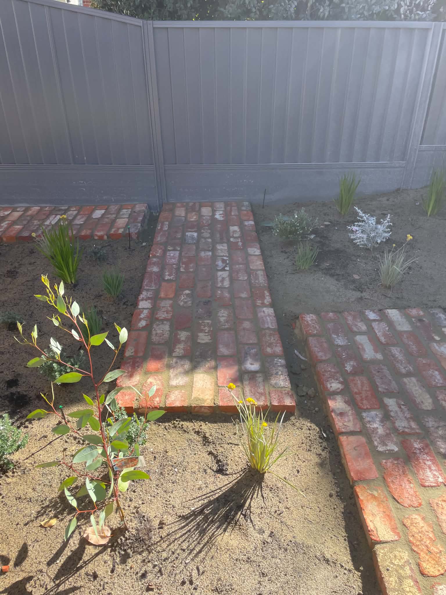 Garden Stepping Path